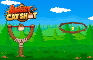 Angry Cat Shot img