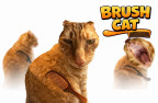 Brush Cat img