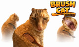 Brush Cat background