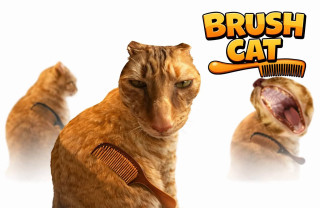 Brush Cat img