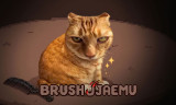 Brush Jjaemu background