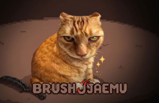 Brush Jjaemu img