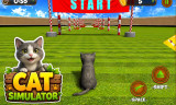 Cat Simulator background