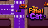 The Final Cat background