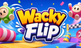Wacky Flip background
