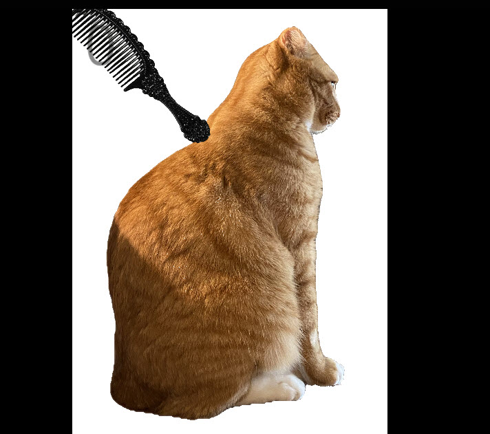 brush cat screenshot